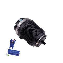 Air Spring Strut OE 3Y5616001F